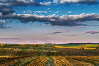 Scenic view of agricultural field against sky during sunset