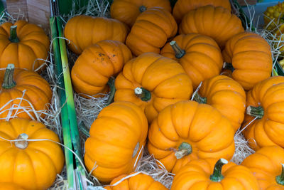 High angle view of pumpkins for sale at market stall