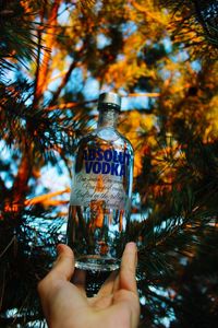 Midsection of person holding bottle against trees