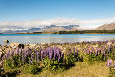 Scenic view of lake against cloudy sky