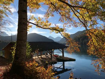 Plants by lake against sky during autumn