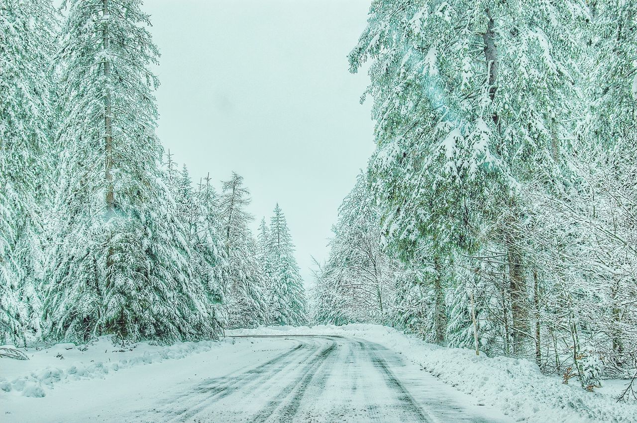 winter, snow, cold temperature, the way forward, weather, season, tree, diminishing perspective, covering, road, clear sky, white color, transportation, vanishing point, day, nature, covered, frozen, no people, outdoors