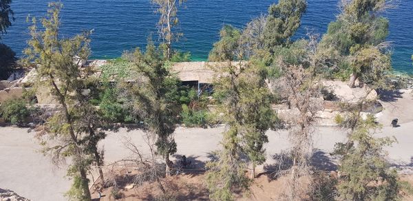 High angle view of trees by sea