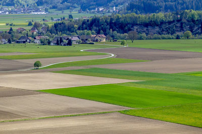 Scenic view of field