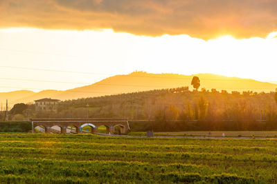 Scenic view of field against sky during sunset