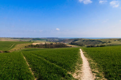 Scenic view of agricultural field against sky