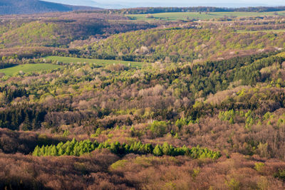 Scenic view of landscape