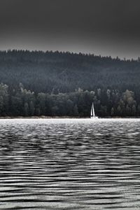 Scenic view of lake