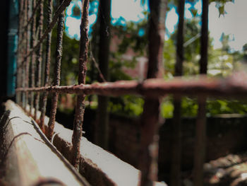 Close-up of rusty metal railing in forest