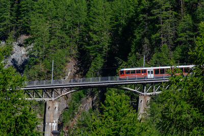 View of gornergrat bahn over findelbachbrucke bridge with waterfall and pine vegetation, swiss alps