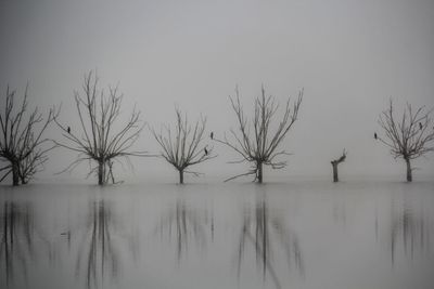 Scenic view of lake against sky during winter