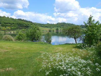 Scenic view of field against sky