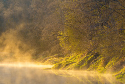 A beautiful spring river landscape with morning fog.