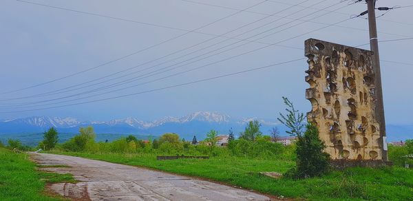 Road amidst plants and trees against sky