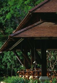 Low angle view of house and trees in forest