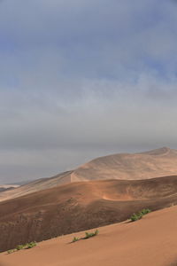 Scenic view of desert against sky