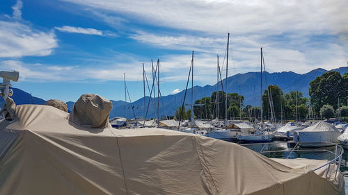 Sailboats moored at harbor against sky