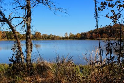 Scenic view of lake against clear blue sky