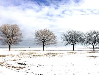 Bare trees on snow covered field