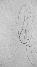 Full frame shot of white background