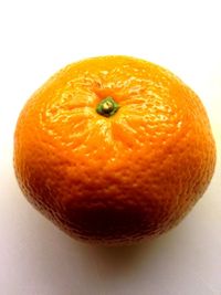 Close-up of red apple on white background