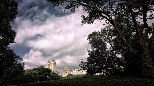 Low angle view of park next to city buildings against cloudy sky