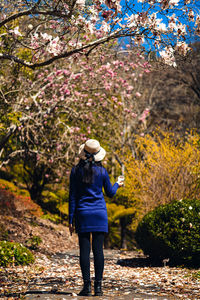 Full length rear view of woman standing by tree