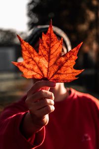 Close-up of man hand holding maple leaf during autumn