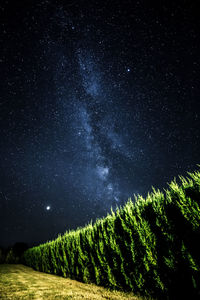 Scenic view of tree against sky at night