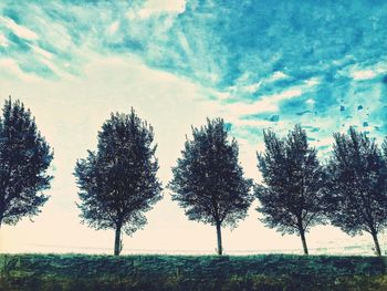 Trees on field against sky