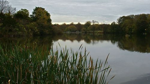 Scenic view of lake against sky
