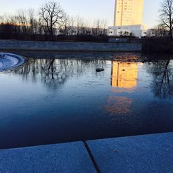 Reflection of bare trees in water