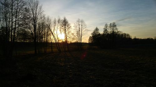 Silhouette of trees on landscape at sunset