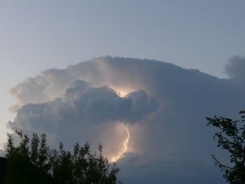 Low angle view of trees against sky