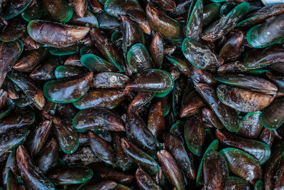 Full frame shot of vegetables for sale in market