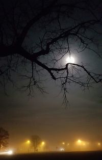 Silhouette bare tree against sky at night