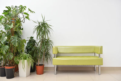 Potted plants on chair against wall at home