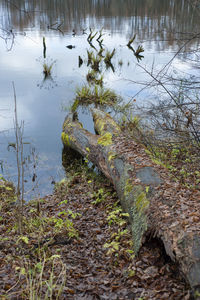 Scenic view of lake