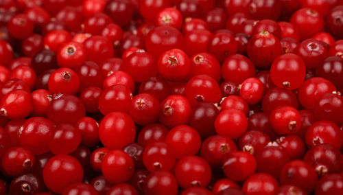 Full frame shot of cranberries