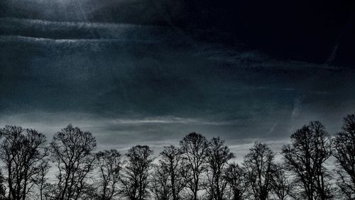 Low angle view of bare trees against sky