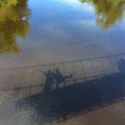 High angle view of people standing on tree trunk