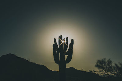 Close-up of silhouette cactus against sky during sunset