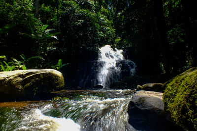 Scenic view of waterfall in forest