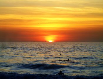 Silhouette of people swimming in sea at dusk