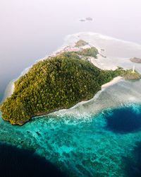 Scenic view of sea shore