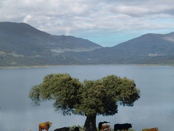 Scenic view of lake and mountains against sky