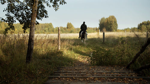 Rear view of man riding on field