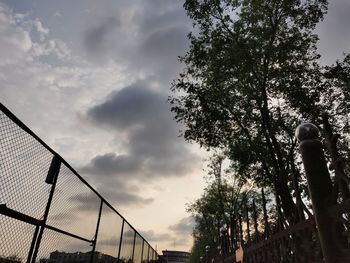 Low angle view of silhouette trees against sky during sunset