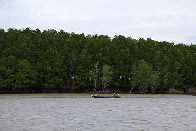 Scenic view of river by trees against sky