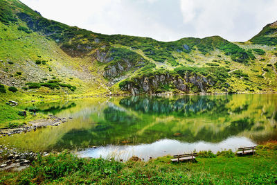 Scenic view of lake by trees against sky